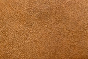 Are Shoes Clothing? Exploring the Canadian Market of Footwear and Apparel